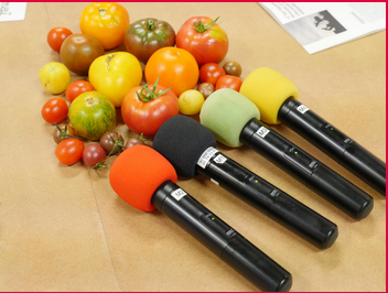 Photo de Présentation fête de la radio 2025